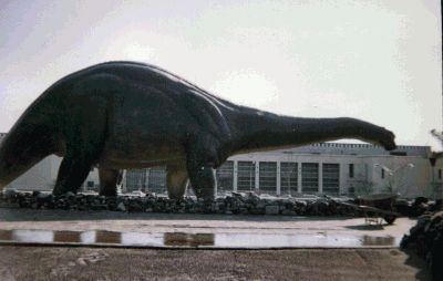 Dinoland's Brontosaurus