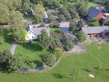 Children's Petting Zoo from Heliport