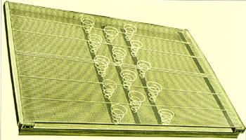 Early Mattress