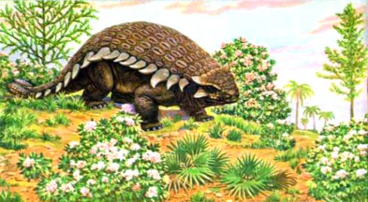 Ankylosaurus