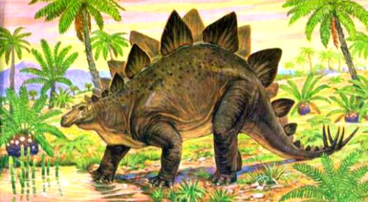 Stegosaurus